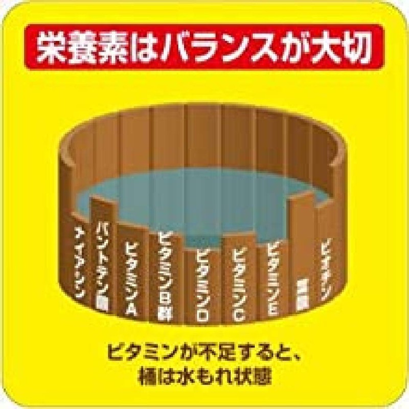 大塚製薬 ネイチャーメイド マルチビタミン&ミネラル 100粒 50日分