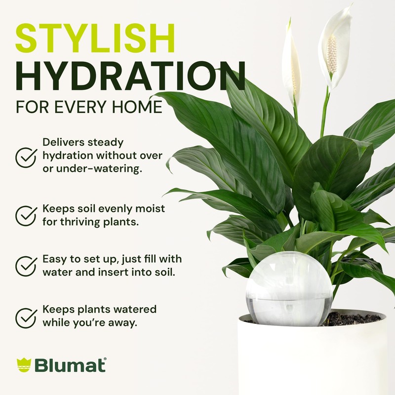 Blumat Clear Globe Single Pack - Automatic Watering Stake with