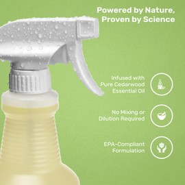 Mosquito Magician Indoor Pest Spray – Design for Indoor Use to Neutralize Spiders, Roaches, Ants & Flies with Plant-Sourced Essential Oils, Efficient Ready to Use Home Pest Spray – Mint, 16 OZ