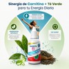 Suplemento Base Carnitina + Té Verde Nanoparticulado 30 Ml Gotero