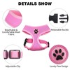 BINGPET Small Dog Harness - Breathable Mesh Puppy Cat Harness