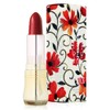 Subtle gloss vivid color lip lipstick red / 은은한 광택 선명한 컬러 립 립스틱 레드