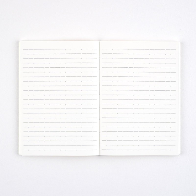 Almost daily Notebook Ruled Notebook (A5) 288 Pages Notebook Accessory