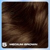 Clairol Nice 'n Easy Permanent Hair Color, 5 Medium Brown,