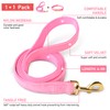GAMUDA Collar y correa de terciopelo para perro, súper suave