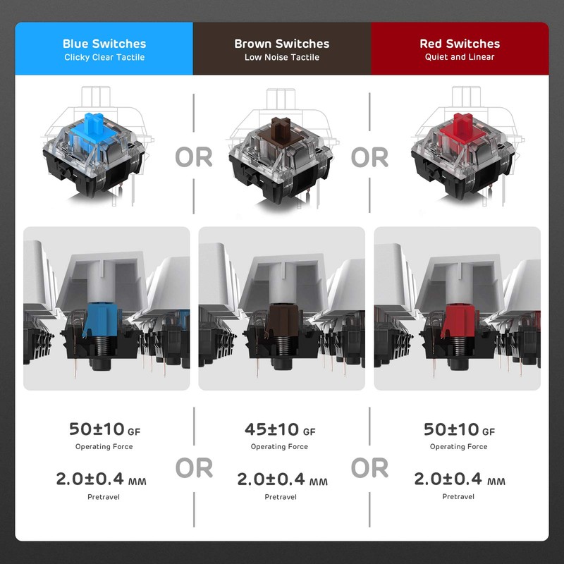 RK ROYAL KLUDGE RK920 Full Size Mechanical Keyboard, Rainbow Backlit