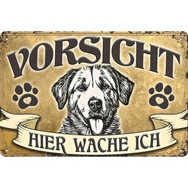 30 x 20 cm Weatherproof Dog Tin Sign, Warning Sign, Gate Sign, Colour Gold, Caution - Hier Wache ich! (Golden Retriever)