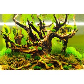 ELEBOX New 20" x 48" Fish Tank Background Paper Wallpaper 2 Sided Colorful Seaweed Water Plants Aquarium Poster Decorations