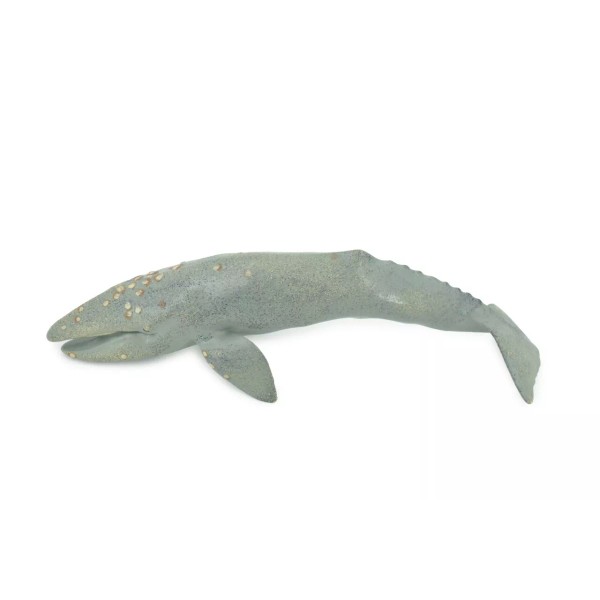 Unbranded Model Gray Whale, Large Rubber Realistic Figure Replica Toy