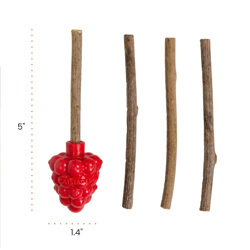 Catstages Dental Raspberry Teether with 4 Silvervine Sticks Included, Cat