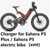 coming data AC Adapter battery Charger For Eahora P5 or