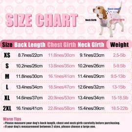 FEimaX Dog Surgery Recovery Suit, Dog Recovery Suit after Surgery for Female Male Dog, Cone E-Collar Alternative, Pet Surgical Suit Puppy Onesie Bodysuit for Small Medium Dog Cat (Pink, XL)