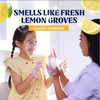 Liquid Hand Soap Refill - Lemon Verbena - Moisturizes Dry