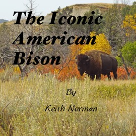 The Iconic American Bison