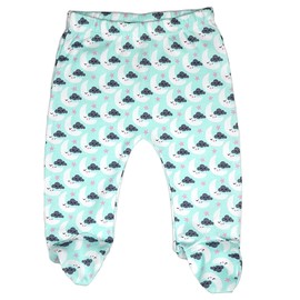 123 Bear 100% Cotton Baby Pants with Footies 100% Cotton Unisex Boys Girls (Newborn, 2-Pack Mint Print)