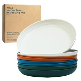 Nook Theory Deep Dinner Plates Set of 8 - Wheat Straw Plates, Alternative for Plastic Plates, Microwavable, Dishwasher Safe, Unbreakable Dinnerware, Reusable Dinner Plates (Urban 9")