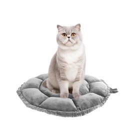 Hebove Puppy Bed,Doggie Bed,Dog Beds for Small Dogs Washable,Couch Cover for Dogs Washable,Round Dog Bed Large,Funny Fuzzy Pet Couch Covers for Sofa(17.7''L×17.7''W×5.9''Th)