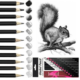 Pencil Set, 12-Piece Drawing Pencil Set, Pencil Drawing from 2H to 8B Sketch Pencil Set with Graphite Pencils for Artists, Children, Adults, Drawings, Sketching Lovers (Type 2)
