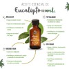 OLEUM VITAE Aceite Esencial de Eucalipto 120ml. Eucalyptus Globulus 100%