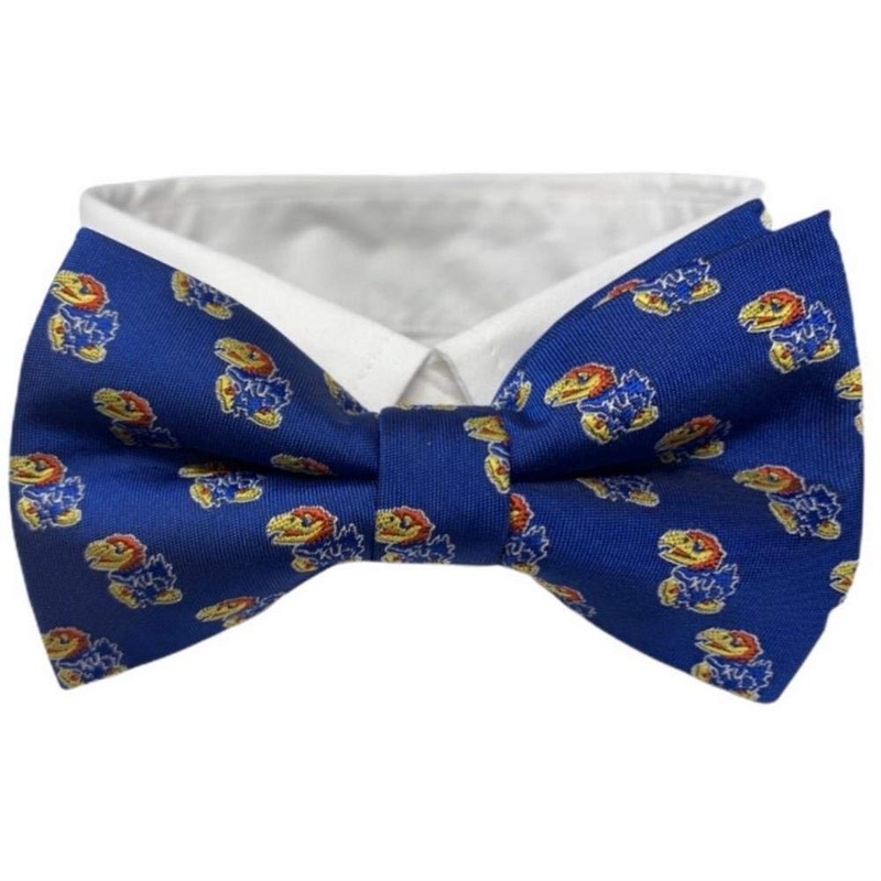 Eagles Wings Michigan Ties - Corbata deportiva para hombre, Microfibra