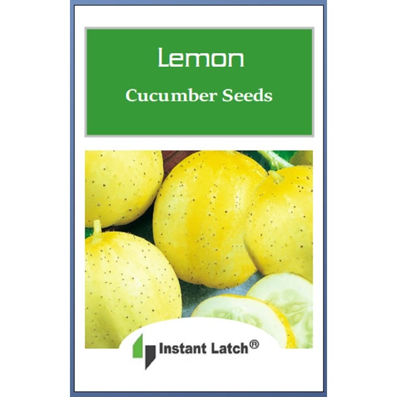 50 Lemon Cucumber Seeds | Non-GMO | Heirloom | Fresh