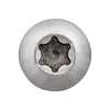 Rounded Head Screw with Hexalobular Socket/Torx (ISR, TX) According to