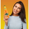 Stewart's Orange & Cream Soda, 12 fl oz (12 Glass