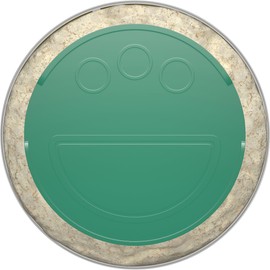 Kraft Parmesan Grated Cheese (16 oz Shaker)