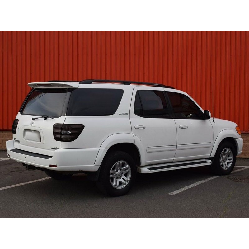 Rvinyl Tail Light Pre Cut Film Tint Cover Kit in