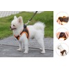 JdotMIN No Pull Dog Harness and Leash Set, for Extra