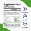 Healthy Gut Magnesium-HP | Ultra Pure Glycinate with Zero Fillers