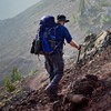 COSTWAY 2 Pack Telescopic Trekking Poles, Portable Aluminum Hiking Sticks,