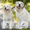 2pcs Adjustable Double Pet Trainer Leash, No Tangle Dog Dual