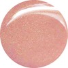 KOKOIST KOKOIST Color Gel E-101 2.5g Beige Pebble UV/LED Compatible