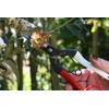 Okatsune Onion Shears NO.306