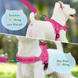 Slowton No Pull Small Dog Harness and Lead, Front Lead Walk Vest Harness, Soft Padded, Reflective Adjustable Puppy Harness, Anti-Twist 122 cm Quick Fit Pet Lead for Small Dogs, xxs