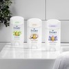 Ivory Aluminum Free Deodorant, Notes of Coconut, 24hr Gentle Deodorant,