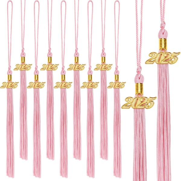JULMELON 2025 Graduation Tassels, 20Pcs Graduation Cap Tassels 2025 Grad
