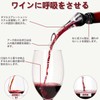 LONNEA Pourer Wine Pourer Wine Pourer Decanter Decantage Rapid Wine