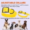 Dogline Biothane Waterproof Dog Collar Strong Coated Nylon Webbing with