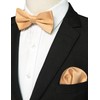 RBOCOTT Champagne Bow Tie Bowtie and Pocket Square Set for