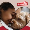 Rosewood Natural Nippers Loopy Dog Fun Ball, All Breed Sizes