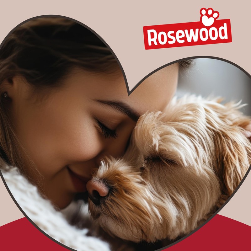 Rosewood Natural Nippers Loopy Dog Fun Ball, All Breed Sizes