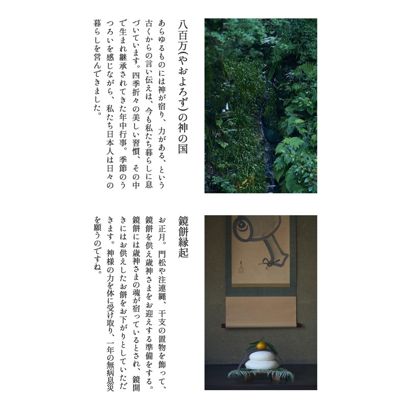 Kyoto Genmaicha 28695 Brown Rice Tea Bag