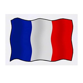 'French Flag' Temporary Tattoo - Water Resistant, Skin-Safe, Non-Toxic Transfer (TO00046512)
