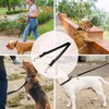 Adjustable Double Pet Trainer Leash - No Tangle Dog Walking