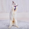 Petio Cat Toy Wild Mouse Chu-Chu-Noisy Panic Star Mouse