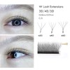 HERSQUEEN W Lash 4D Fans Volume Eyelash Extensions D Curl