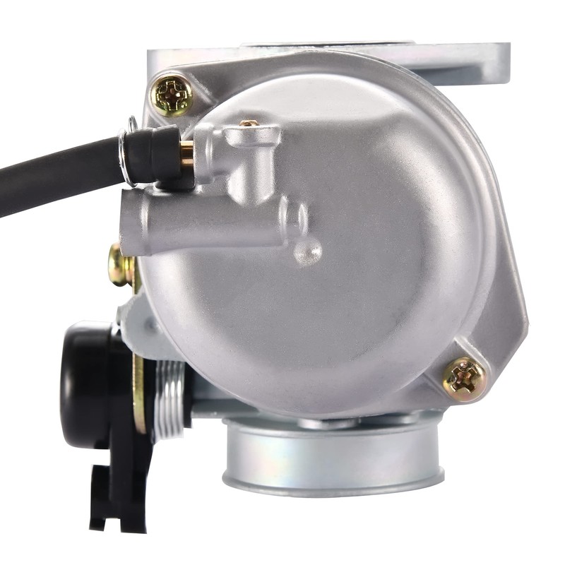 GOOFIT PZ19 19mm Carburetor Carb with Cable Choke for 50cc