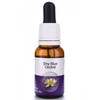 Living Essences Shy Blue Orchid 15ml